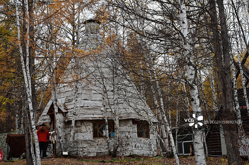 敖鲁古雅使鹿部落森林驯鹿游猎文化图片素材
