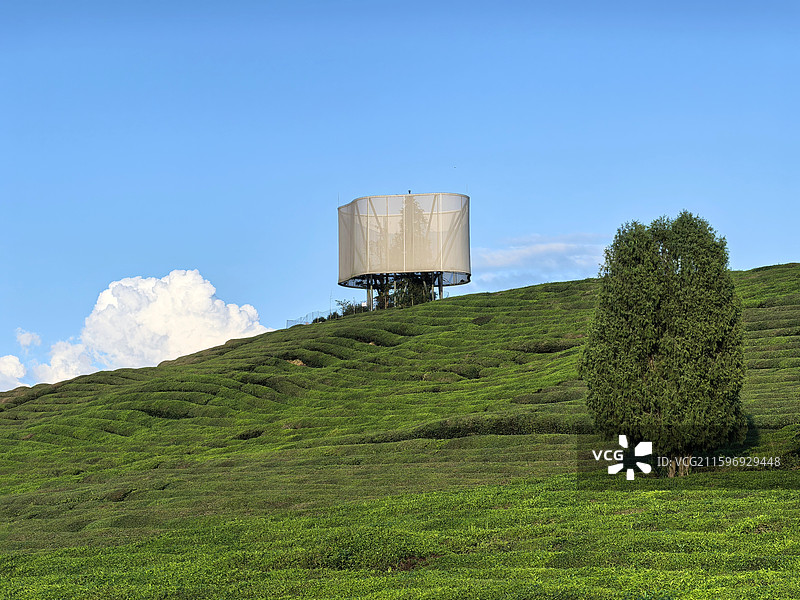 江西景德镇市浮梁县寒溪村田原风景图片素材