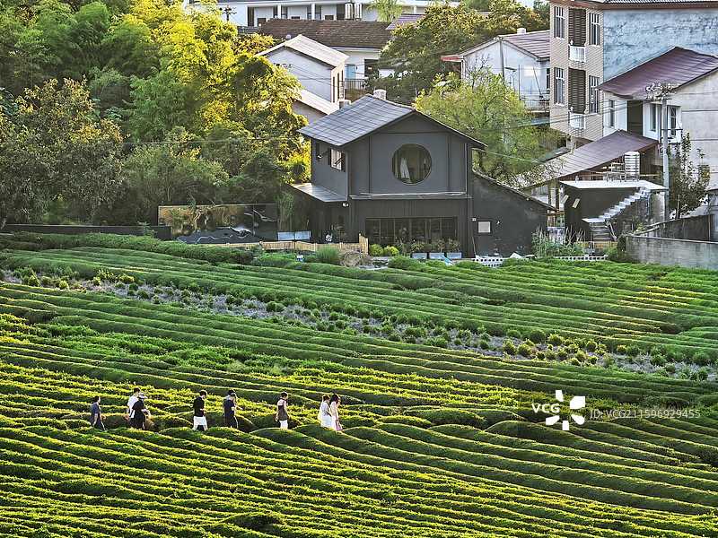 江西景德镇市浮梁县寒溪村田原风景图片素材