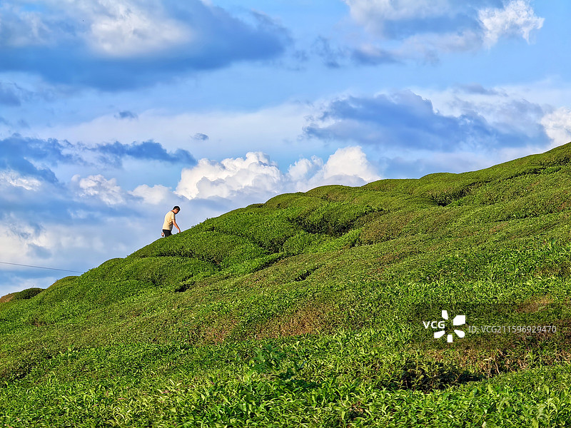 江西景德镇市浮梁县寒溪村田原风景图片素材