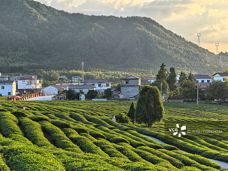 江西景德镇市浮梁县寒溪村田原风景图片素材