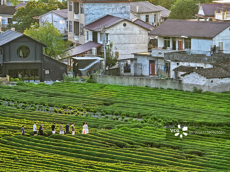 江西景德镇市浮梁县寒溪村田原风景图片素材