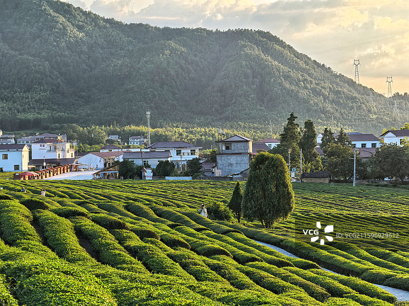 江西景德镇市浮梁县寒溪村田原风景图片素材