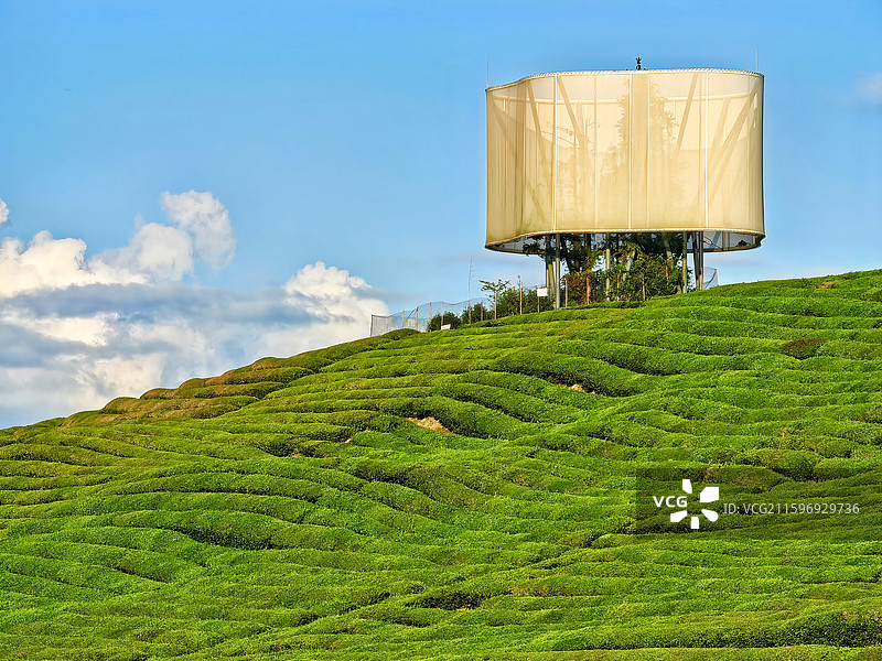 江西景德镇市浮梁县寒溪村田原风景图片素材