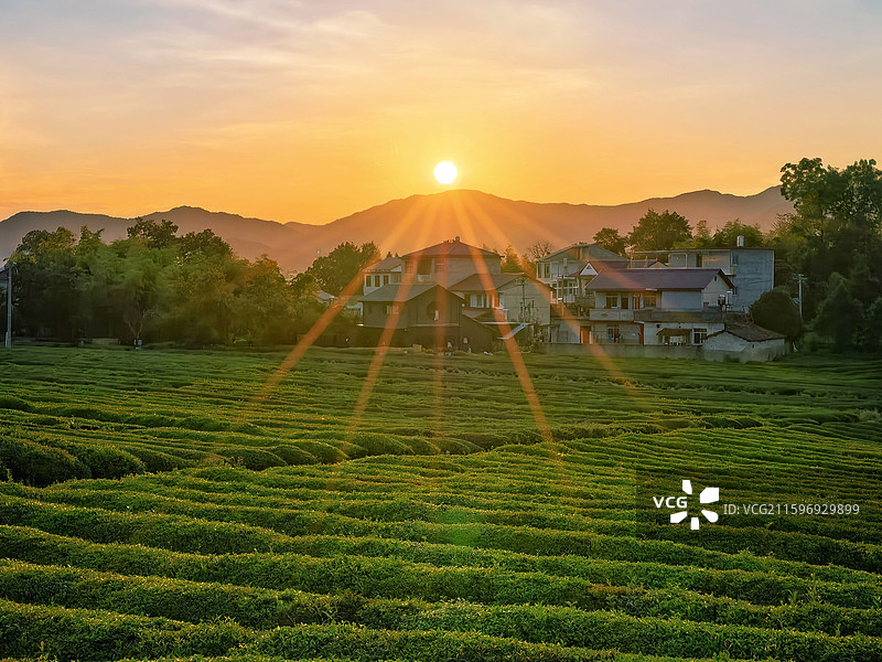 江西景德镇市浮梁县寒溪村田原风景图片素材