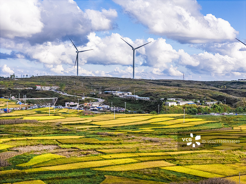 云顶梯田图片素材