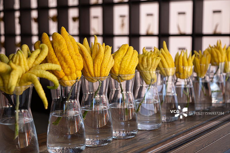 新式中药养生茶饮店内陈列的一排佛手柑图片素材