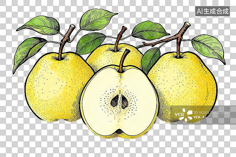 【AI数字艺术】梨子秋月梨枝叶线稿复古插画素材图片素材