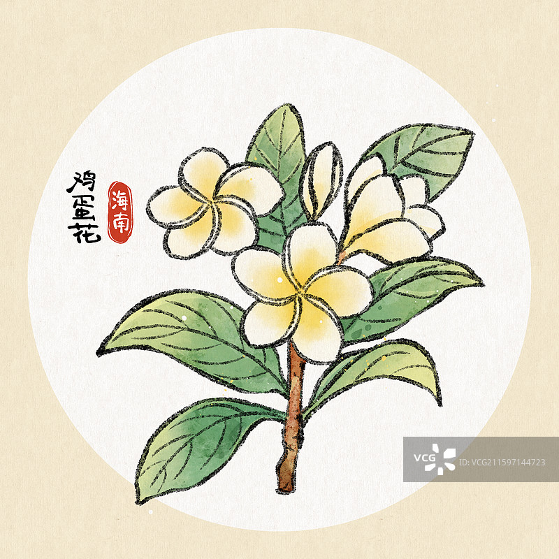 海南美食插画-鸡蛋花图片素材