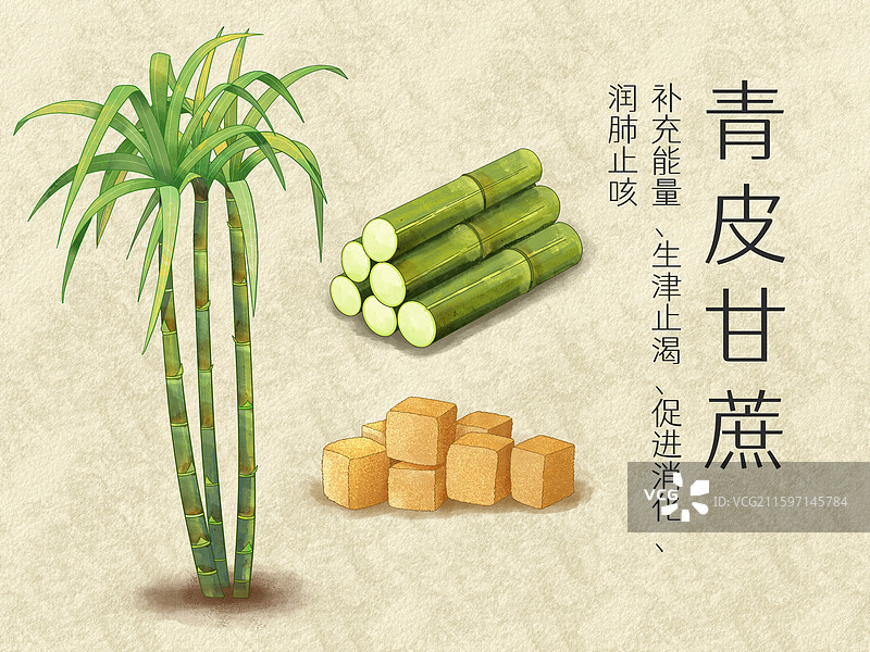手绘水彩中药药材农产品青皮甘蔗插画图片素材