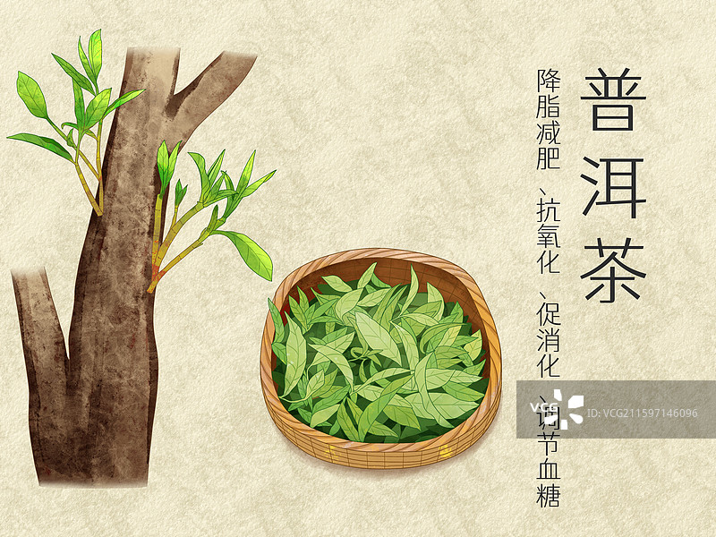 手绘水彩农产品普洱茶插画图片素材