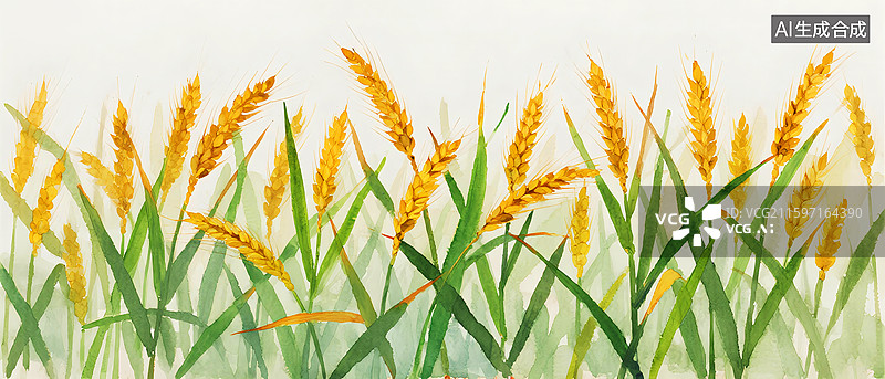 【AI数字艺术】水彩大麦田麦穗或大麦穗图片素材