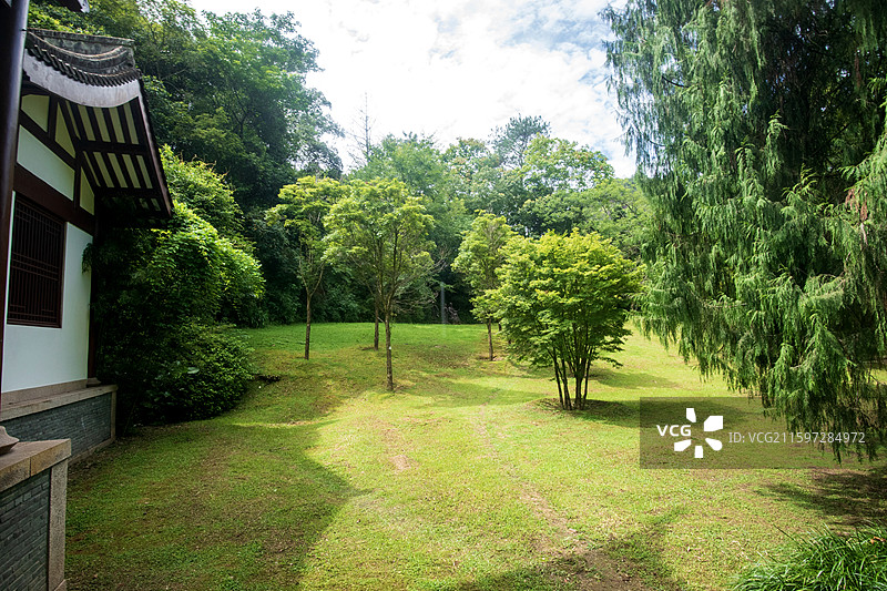 俯拍福建南平九曲溪竹筏漂流周边风景图片素材