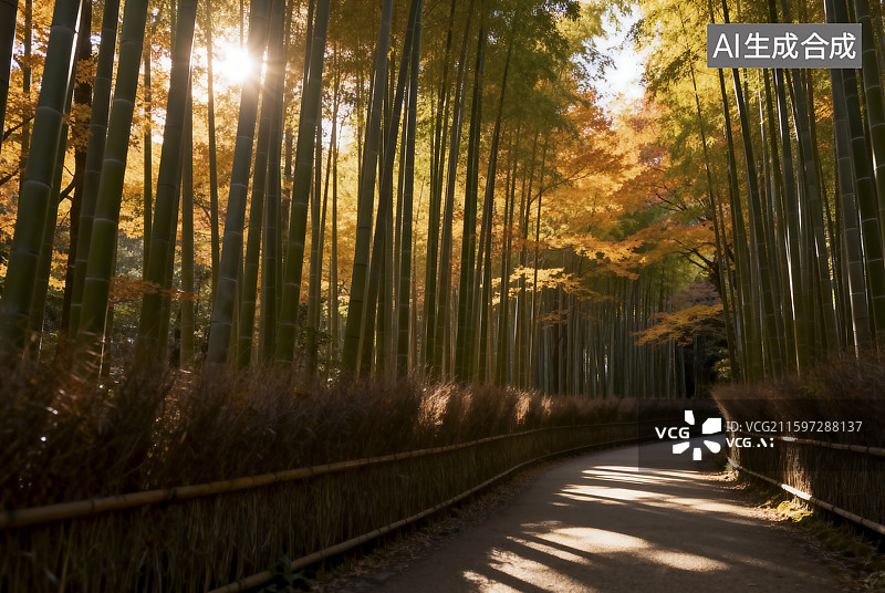 【AI数字艺术】秋日竹林中的阳光小径图片素材