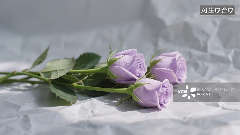 【AI数字艺术】三朵淡紫玫瑰静置皱纸图片素材