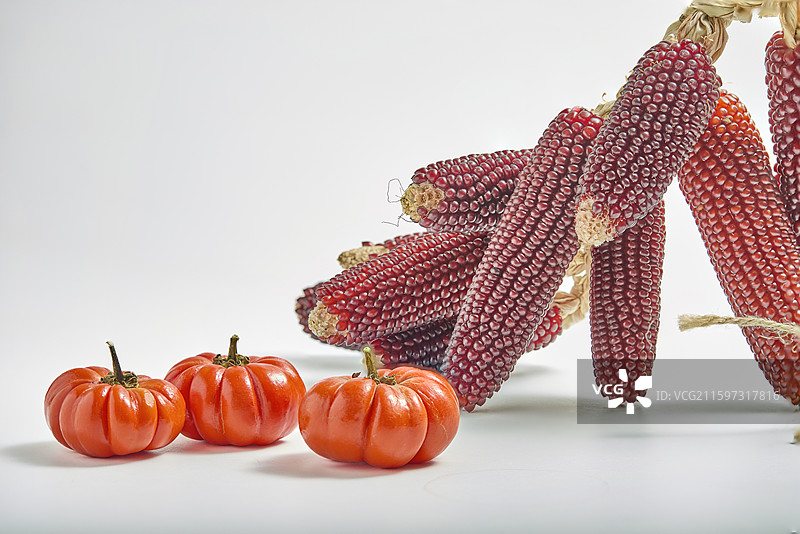 丰收季节里的南瓜 玉米静物图片素材