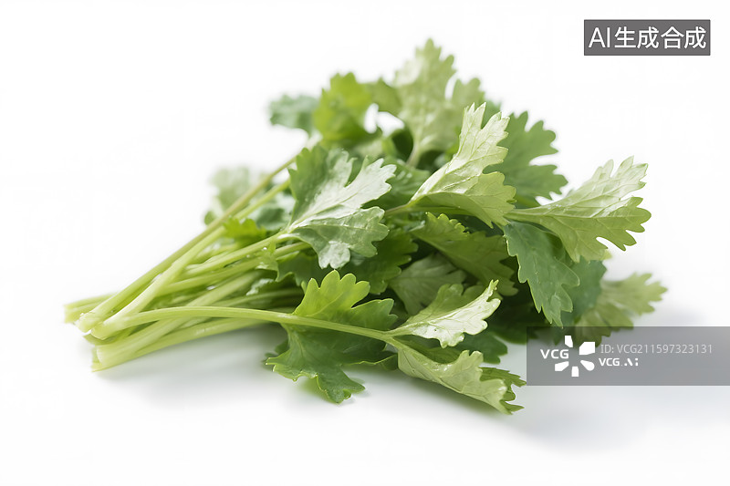 【AI数字艺术】白色背景上的香菜图片素材