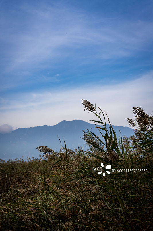 京郊美景 北京延庆野鸭湖湿地公园图片素材