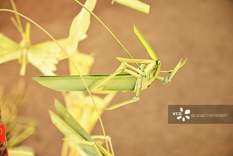 泉州 非遗 手工 竹编 蜻蜓 竹蜻蜓 蝗虫  草蜢图片素材