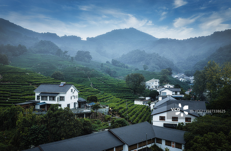狮峰烟雨 龙井问茶图片素材