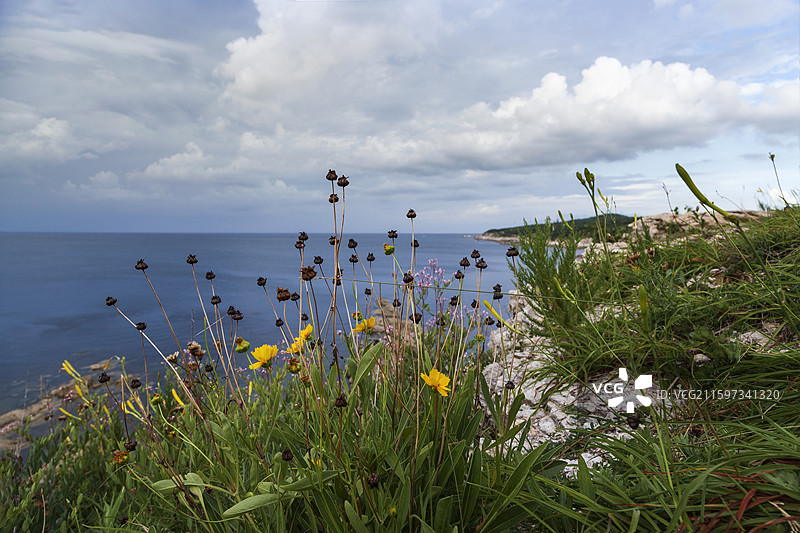 山东省烟台市牟平区养马岛果冻海景区 海浪冲击岸边礁石的照片图片素材