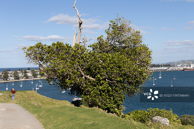 新西兰陶朗加图片素材