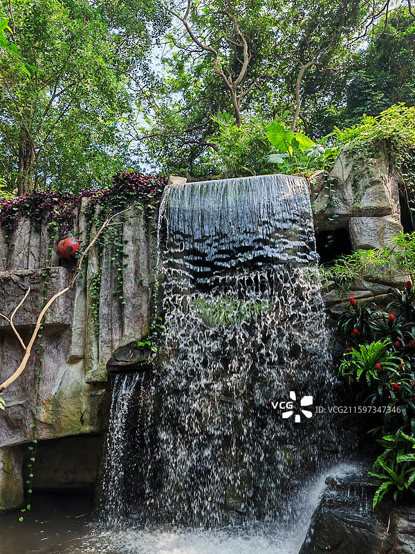 深圳南山青青世界图片素材