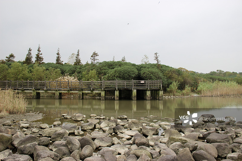 上海吴淞炮台湾湿地森林公园自然风景图片素材
