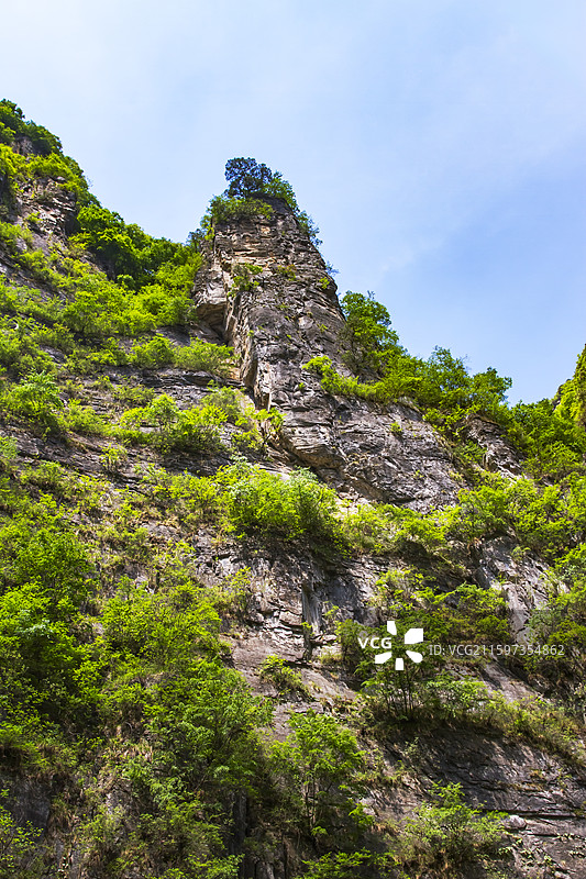 山西晋城，陵川红豆杉大峡谷地质公园图片素材