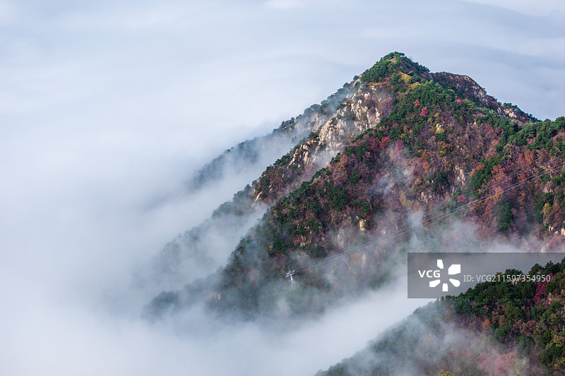 2025年10月12日连续几天的秋雨过后，初秋的泰山，云海把泰山装扮的分外壮丽。图片素材