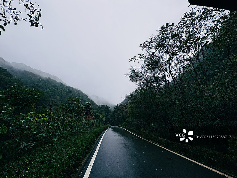 牛背梁国家森林公园图片素材