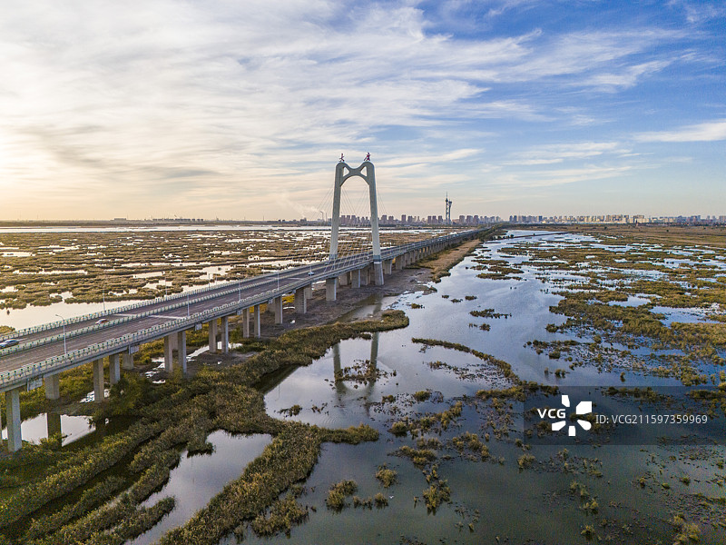 大庆龙凤湿地大桥航拍图片素材