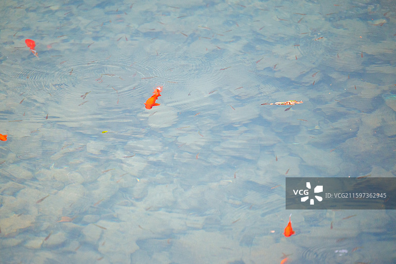 雁荡山图片素材