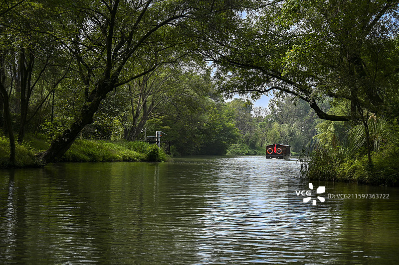 宁静的西溪湿地图片素材