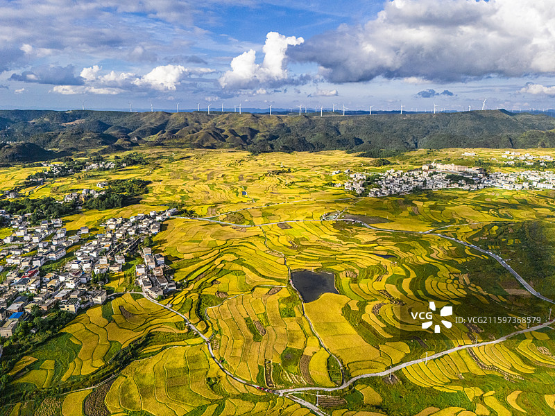 云顶梯田图片素材