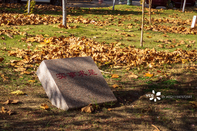 连云港师范学院秋景图片素材