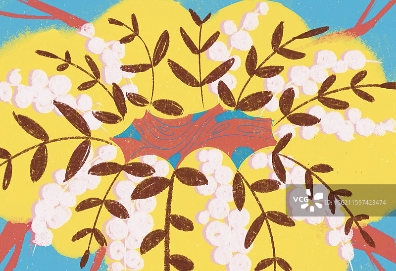 冬日槐树图片素材