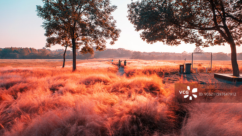 良渚凄美地图片素材