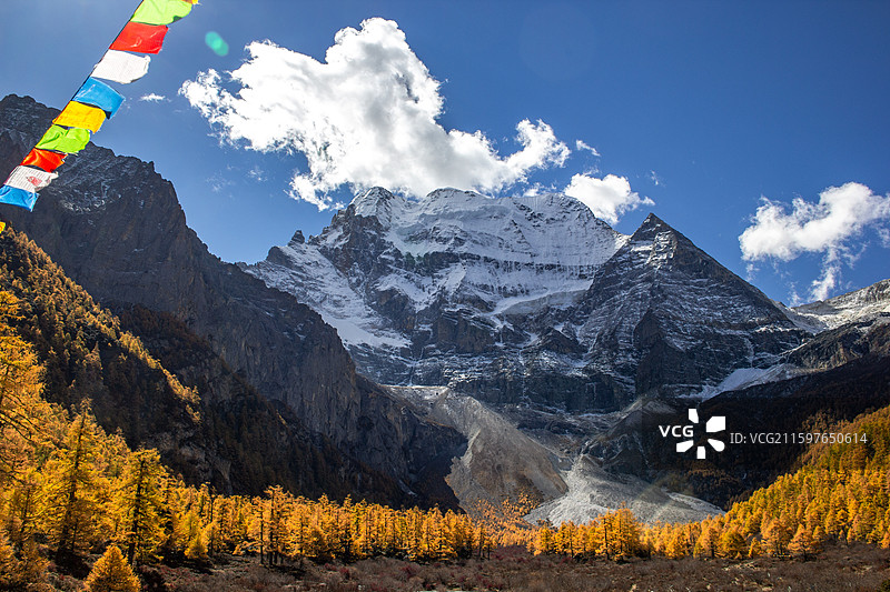 四川甘孜稻城亚丁 神山雪山仙乃日 经幡和山坡落叶松森林图片素材