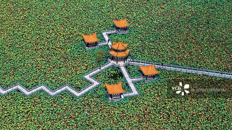 航拍贵州黔西南布依族苗族自治州安龙县招堤十里荷塘荷花池图片素材