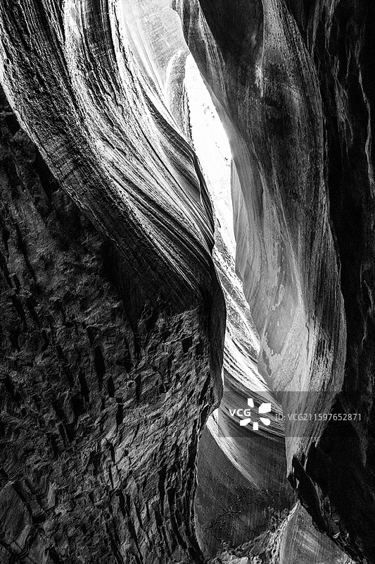 黑白线条图片素材