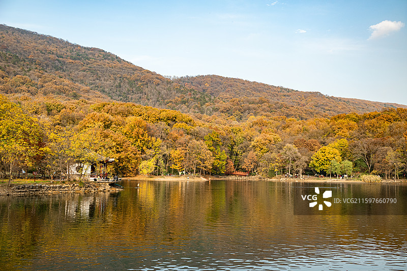 南京明孝陵的秋色-紫霞湖和钟山图片素材