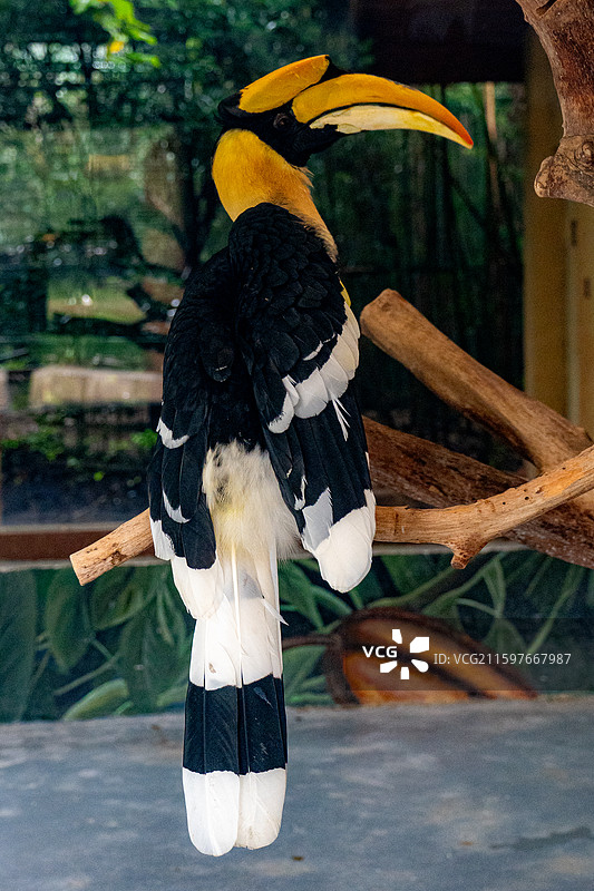 郑州银基动物园图片素材