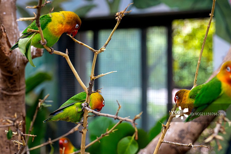 郑州银基动物园图片素材