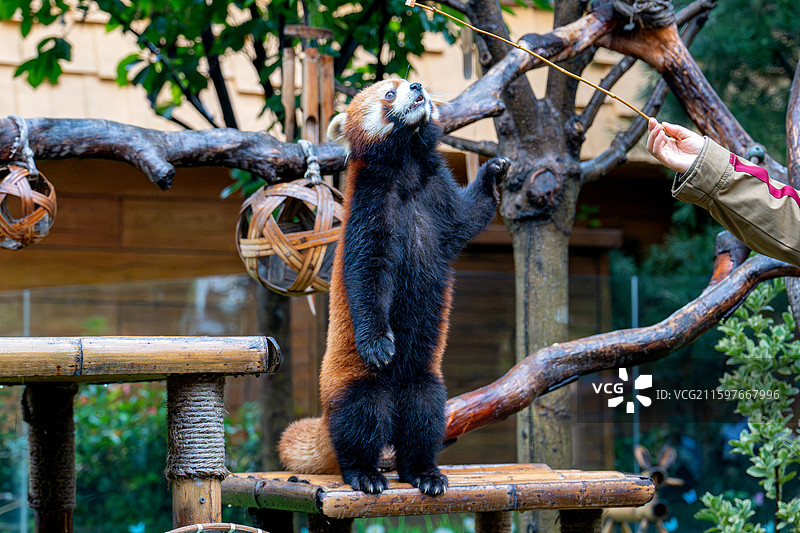 郑州银基动物园图片素材