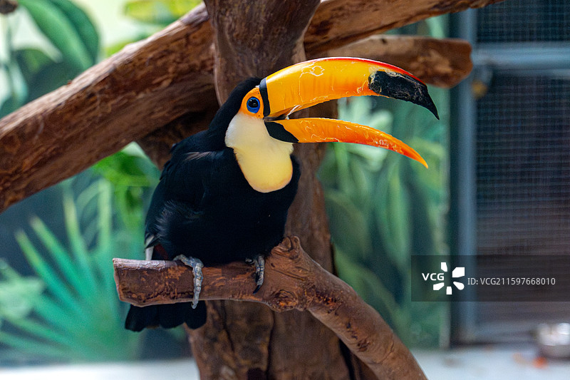 郑州银基动物园图片素材