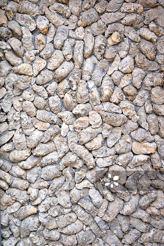 泉州 蟳埔 蚵壳厝 海蛎墙 贝壳墙 簪花 古大厝图片素材