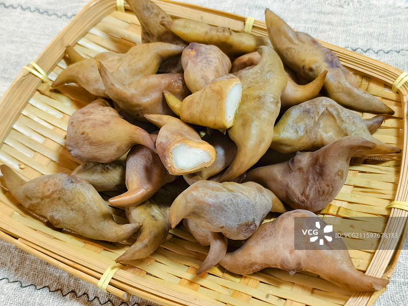 水生植物菱角图片素材