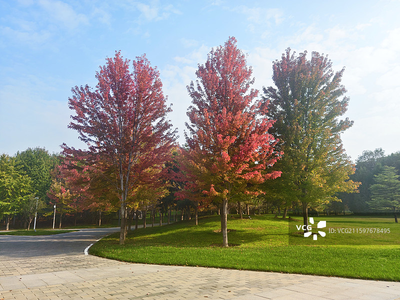 秋味浓图片素材