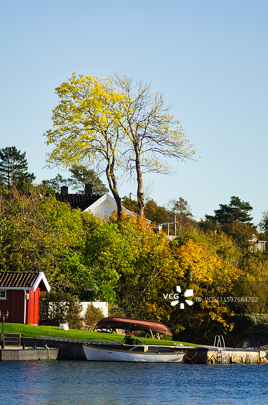 金黄的秋天黄昏图片素材